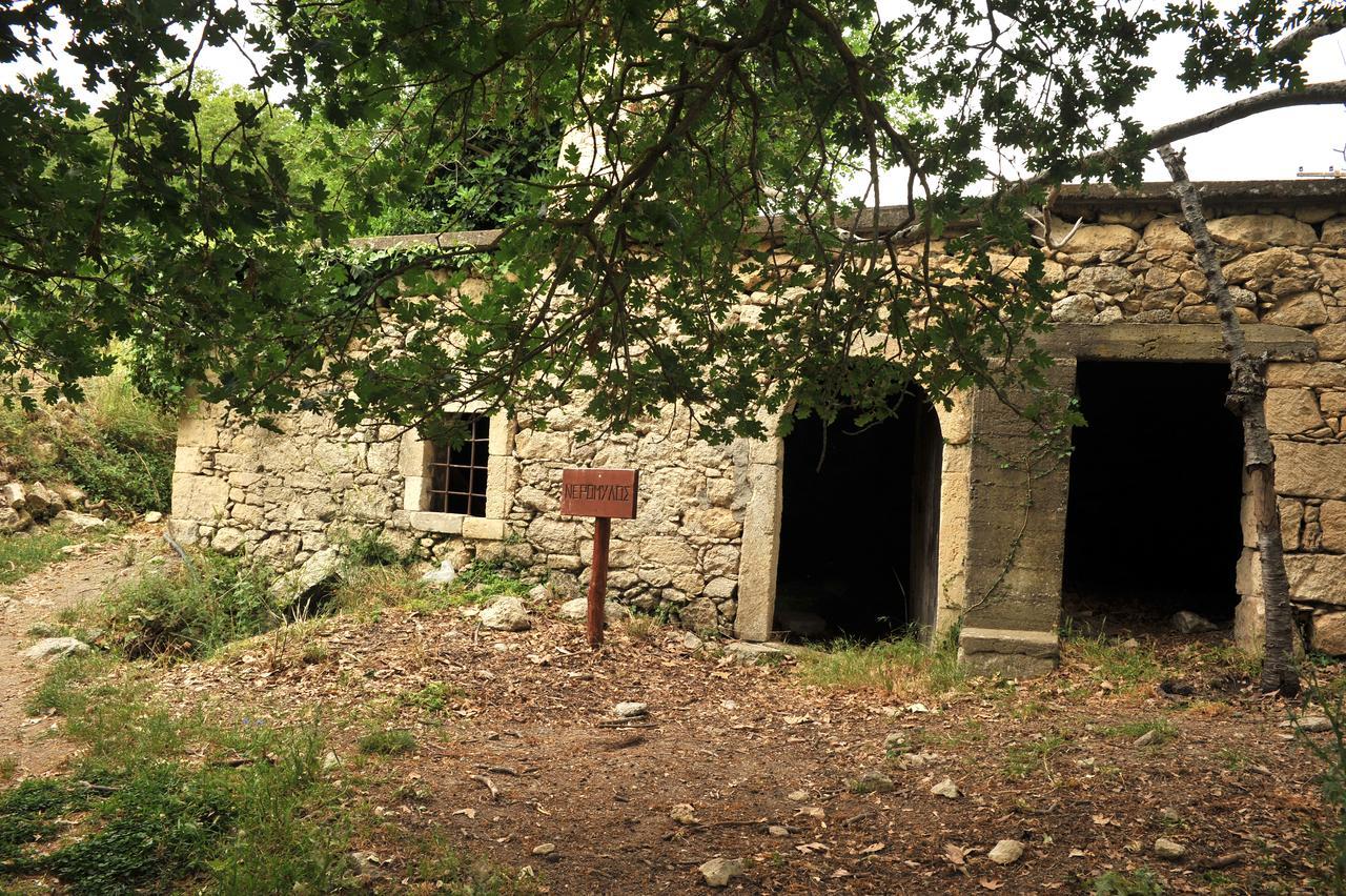 Villa Axenti Agios Thomas  Buitenkant foto