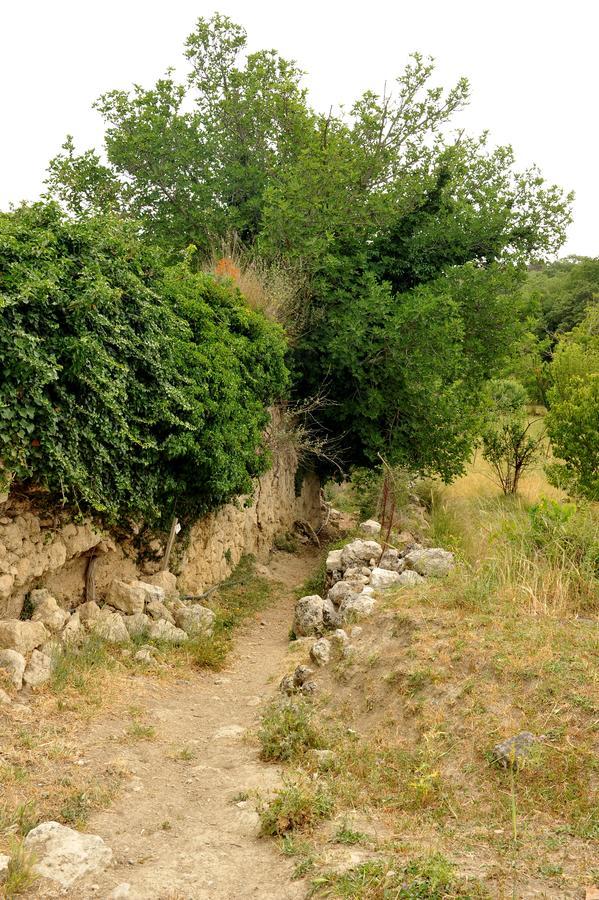 Villa Axenti Agios Thomas  Buitenkant foto