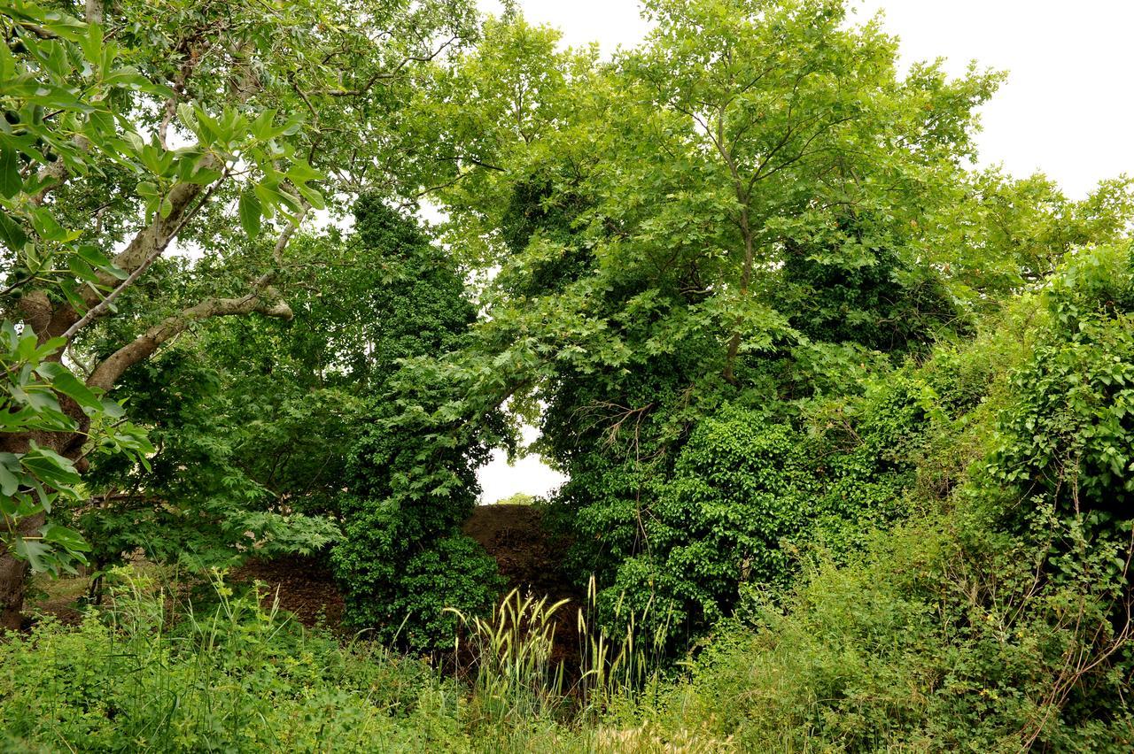 Villa Axenti Agios Thomas  Buitenkant foto